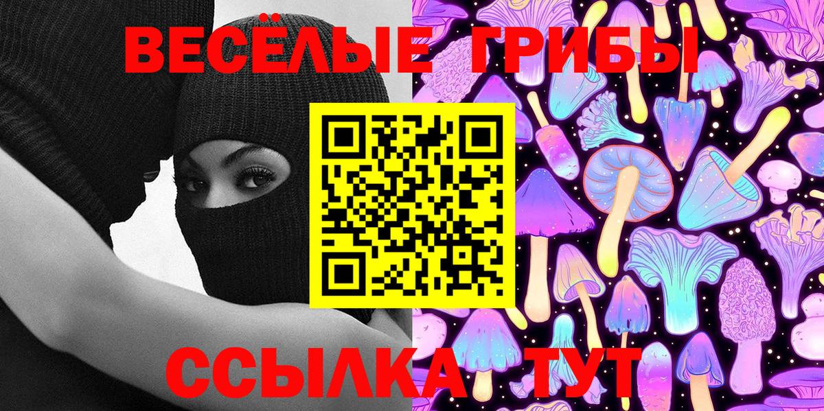 Галлюциногенные грибы Psilocybine cubensis Кингисепп